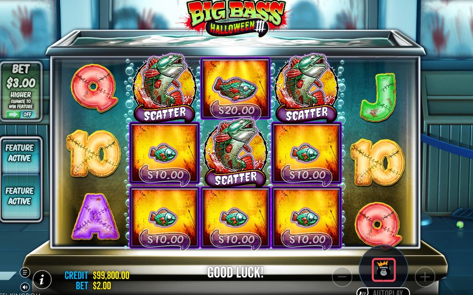 Free Spins with the blue and red WILD FISHERMAN trackers