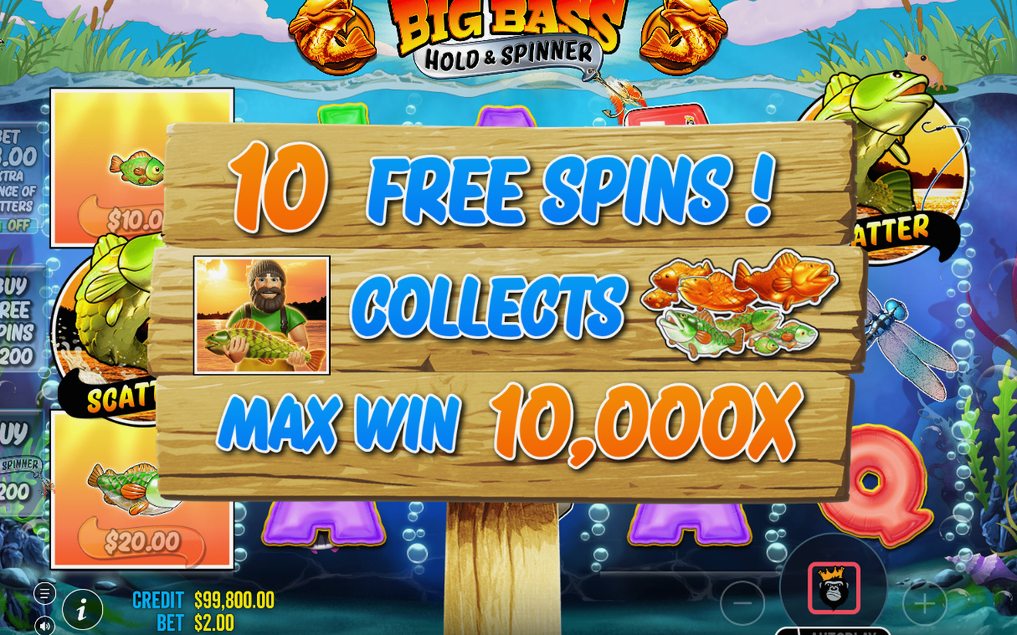 Free Spins with the FISH MONEY collection meter